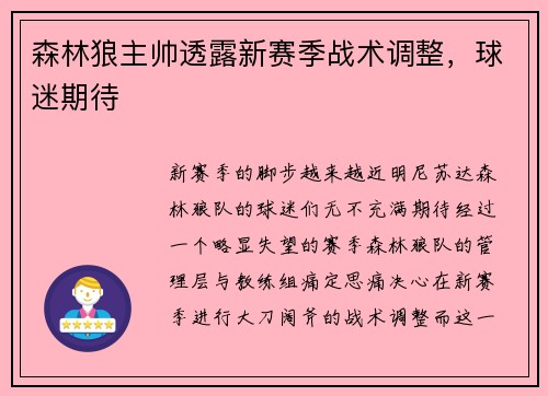 森林狼主帅透露新赛季战术调整，球迷期待